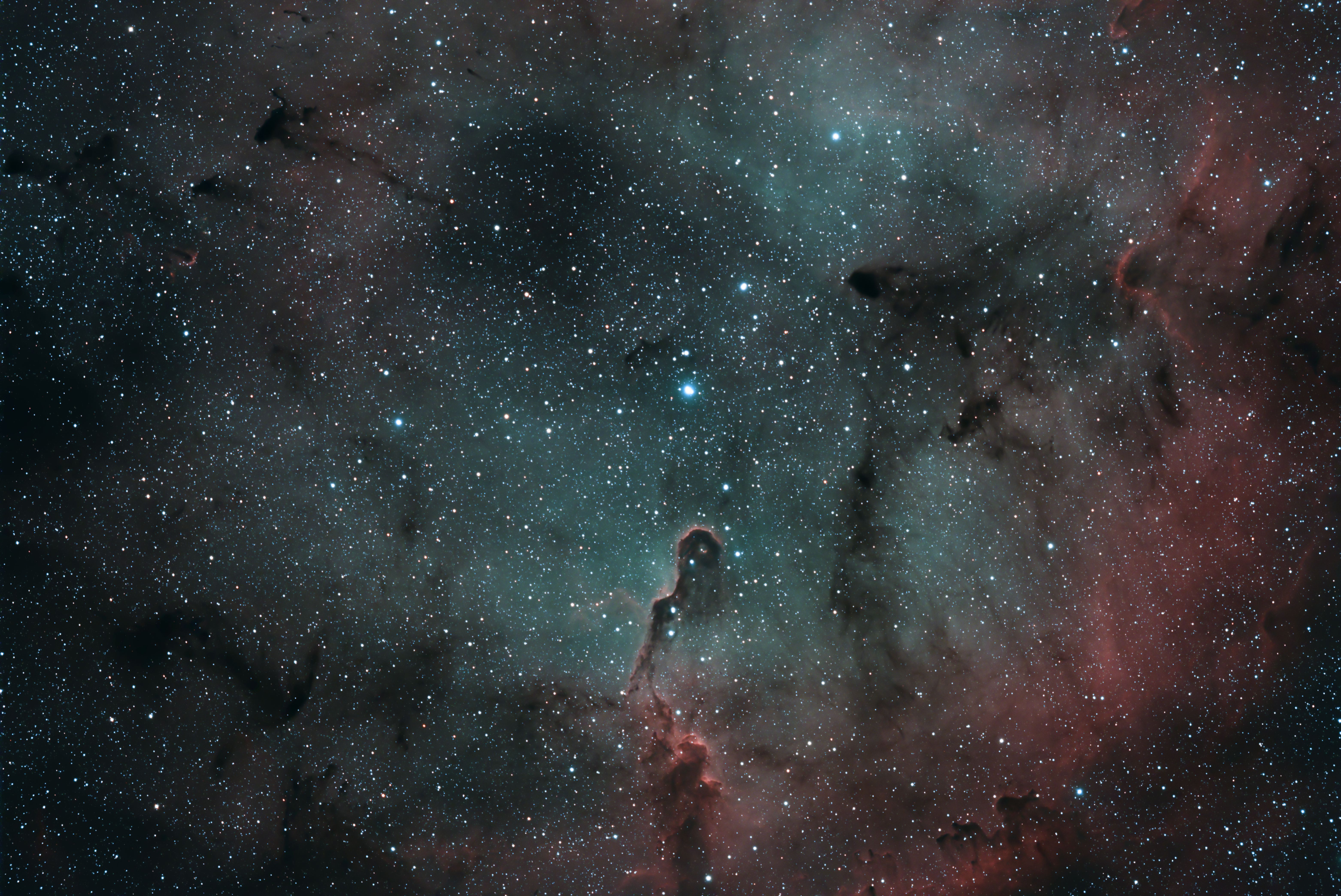 Image taken by Patch Novae of Elephant Trunk Nebula with stars removed